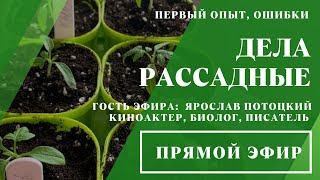 Прямой эфир «Дела рассадные» // 19.04.2024