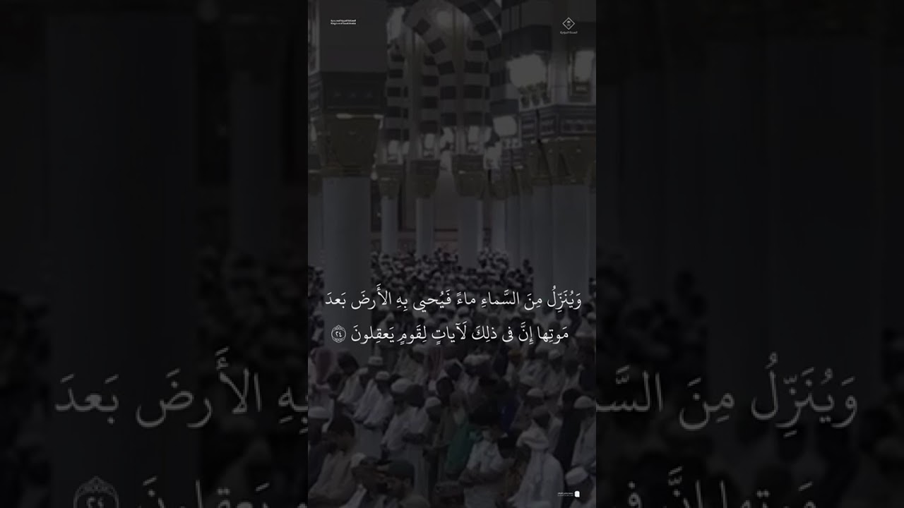 مقتطف من تلاوة الشيخ #أحمد_الحذيفي من مغرب 29 ذو الحجة 1446هـ