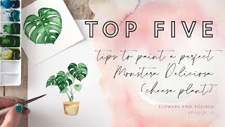 Top Five Tips to Paint a Watercolour Monstera Cheese Plant