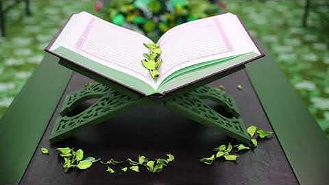 095 سورة التين | أبو بكر الشاطري | بدون إعلانات