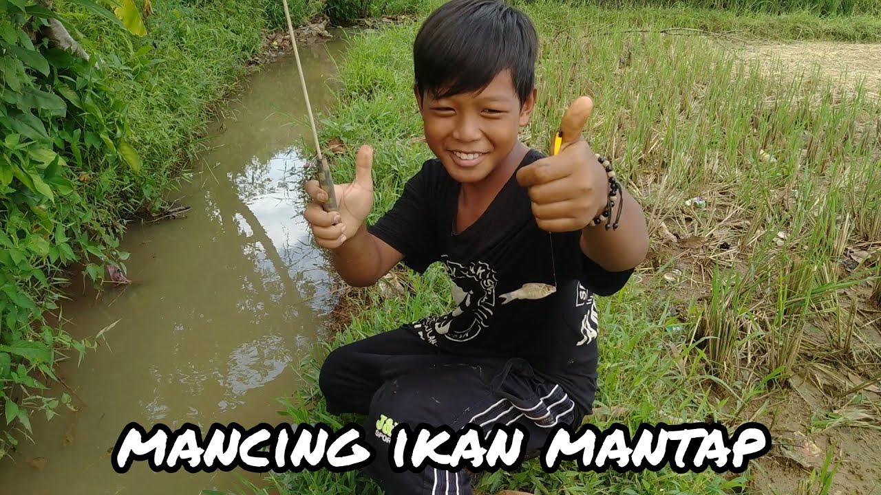 Mancing ikan di kali