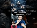 Risk for World Internet! Internet maintenance hold due to war! #shorts #ytshorts