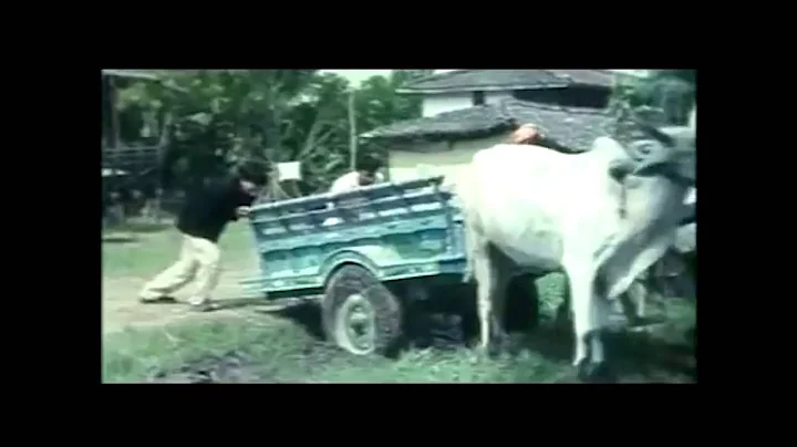 Nepali Song - "Ahankar" Movie Song || Duniyain Lal...