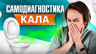 Что кал может рассказать о вашем здоровье? Самодиагностика кала