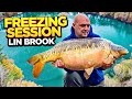 Winter vlog carp fishing session at lin brook fishery uk