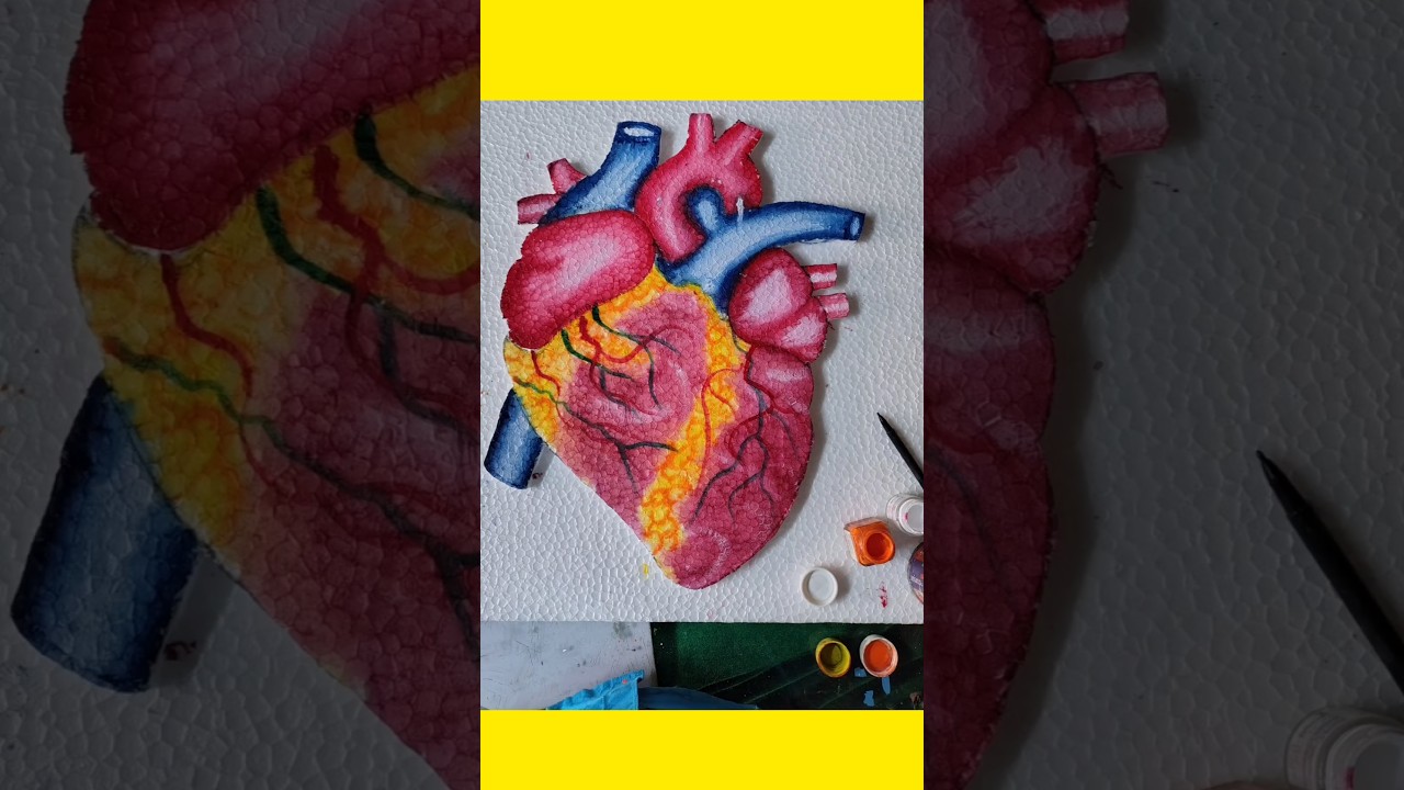 School science project//3D model human heart made ♥️#trendingshorts #3dart #thermocol #heart #made