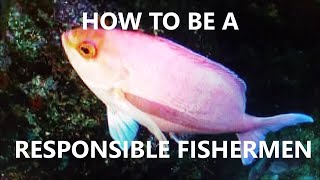 How to be a Responsible Angler - NZ Basic Fishing