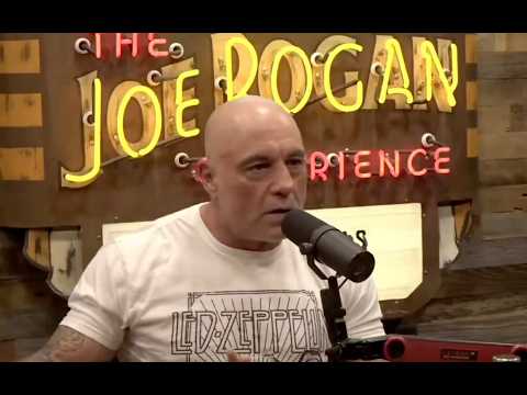 Joe Rogan makes BOMBSHELL admission against Trump | Another Day