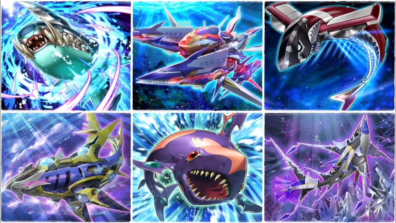 이것이 바리안 리더의 힘! 낫슈 덱!