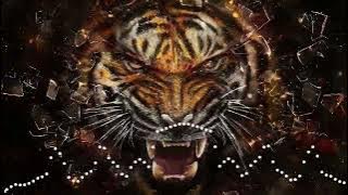 ALEX & RUS ДИКАЯ Dj Sam  Music R U S  version HD mp3  free download HD mp3 TikTok Music