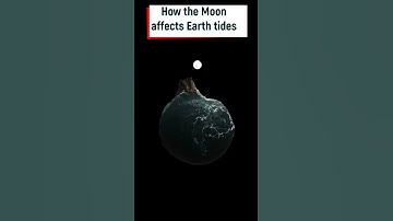 How Moon affects Earth tides 3D