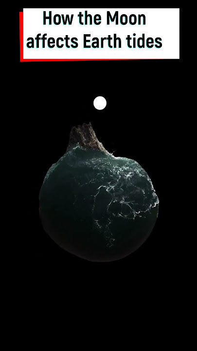 How Moon affects Earth tides 3D