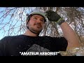 Climbing trees: amateur arborist