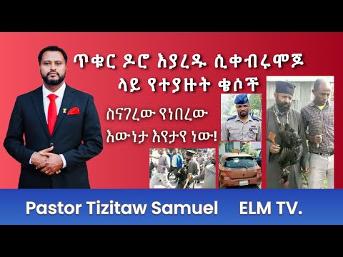 ቪዲዮ: ሞጆ ራሊ ከሮብ ግሮንኮውስኪ ጋር ይዛመዳል?