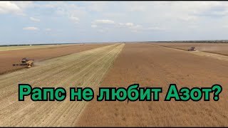 Рапс не любит Азот?