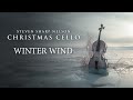 Miniature de la vidéo de la chanson Winter Wind