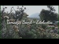 Download Lagu Lirik Lagu Tamasya Band - Edelweiss