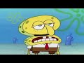 A Spongbob Roast Compilation