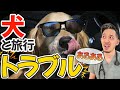 【GW】旅行前に見て！ワンコと外泊する時によく起こるトラブルを徹底解説！
