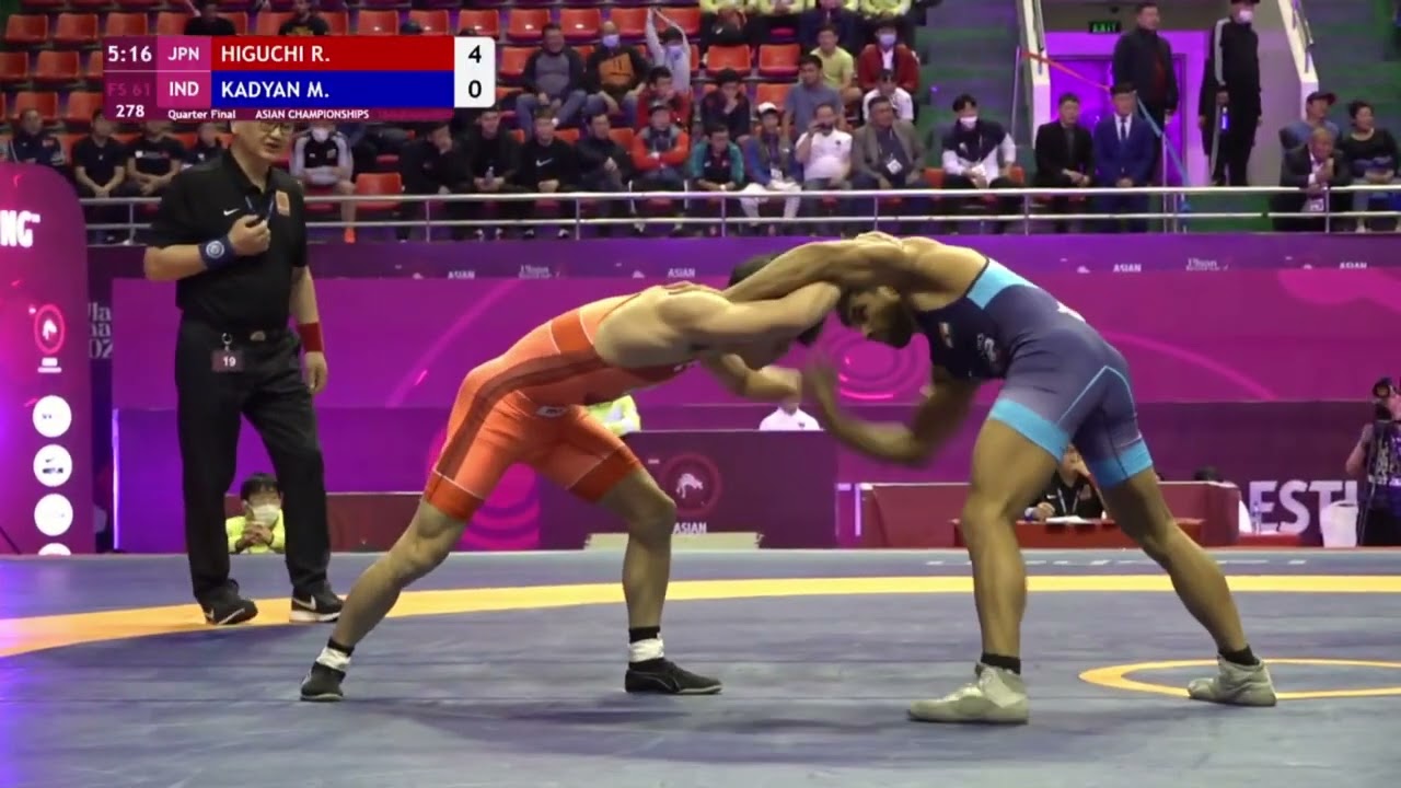 Higuchi Crackdown Clips