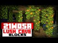 Minecraft Cave &amp; Cliff Update Lush Cave blocks now playable! 1.17 Snapshot 21W05A