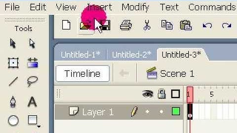 Macromedia Flash - 8 (learn to use Eraser Tool  & Eraser Shape Modifier)