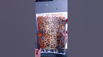 Gelli Printing Hack: Plants + Stencils = Texture Fun! #shorts