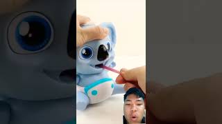Can this koala really eat your hair? #funny #cute