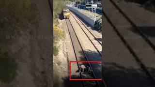 human being ⁠❤️ #changeyourmindsetchangeyourlife #trendingshorts