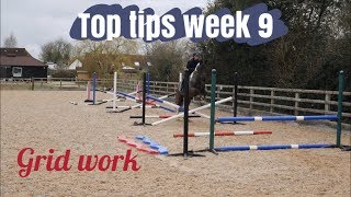 A how to guide for jumping a grid! Horse riding Top tips week 9