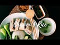 Super Easy Chicken & Rice Recipe