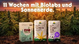 Es wird langsam schwieriger mit Biotabs und Sonnenerde.