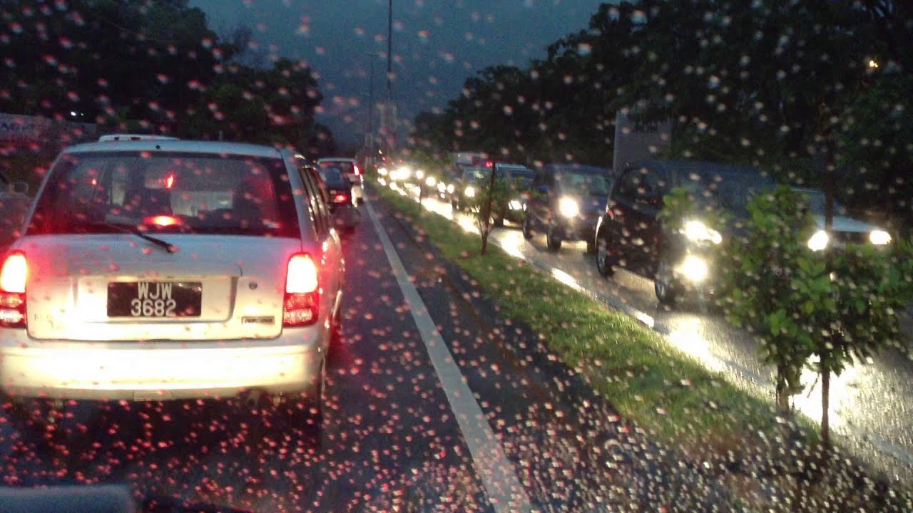 Using Polarized Sunglasses for Night Driving YouTube