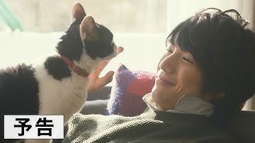 映画『旅猫リポート』予告編