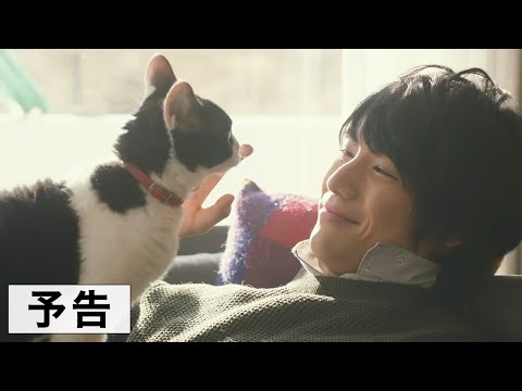 映画『旅猫リポート』予告編