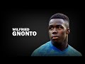 𝐖𝐈𝐋𝐅𝐑𝐈𝐄𝐃 𝐆𝐍𝐎𝐍𝐓𝐎 🇮🇹 ► Goals, assists & skills