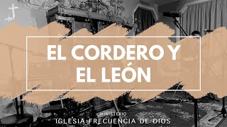 Video thumbnail of "El Cordero y el León (Live) - Ministerio Frecuencia de Dios (Bethel Music)"