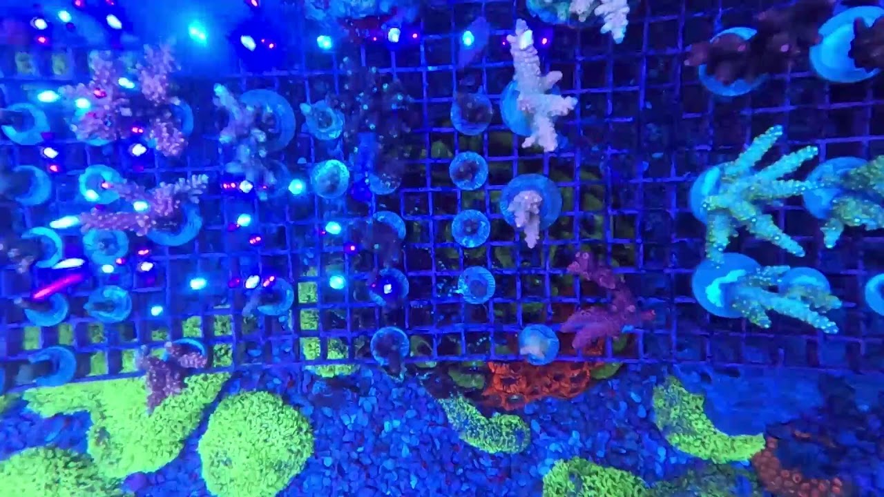 10/11LIVE配信‼️
3連休限定パワーアップ❤️‍🔥❤️‍🔥