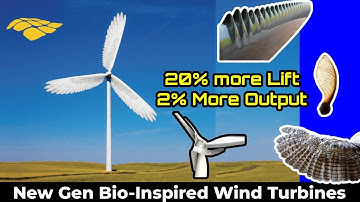 The Next Gen of Bio-Inspired Wind Turbines