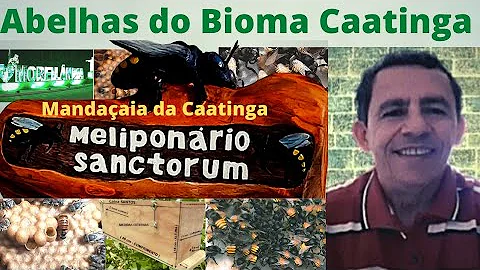 Como é feita a pasteurização do mel?