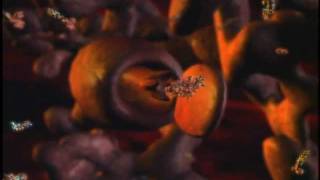 MythBusters Does God exist,MythBusters beat fingerprint.wmv