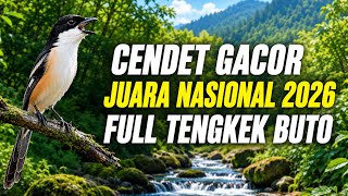 🔴 Cendet Gacor Juara Nasional Materi Full Tengkek Buto