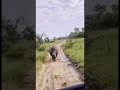 Маю ціль, не маю перешкод!