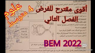فرض و اختبار مقترح بقوة للفصل الثاني سنة الرابعة متوسط Bem2022