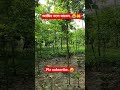 কি ধাক্কা মারতে মন চায় মারেন ধাক্কা কারণ এটা তো আল্লাহর নাম 🕋🕋 #islam #islamic #shortvideo