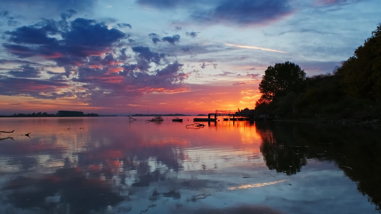 Illinois Nutrient Research & Education Counsel presents: Investment Insight LIVE! - Event highlight