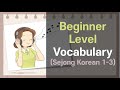 Beginner Level Vocabulary: Sejong Korean 1-3 (Sub: EN)