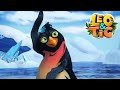 Leo and Tig - The Ice Ball (Episode 36) 🦁 Cartoon for kids Kedoo Toons TV