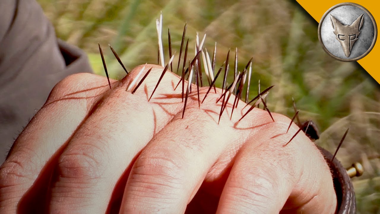 Porcupine quills in the worst place imaginable.. : r/VetTech