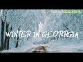 Winter in Georgia - Sabaduri Forest - 4k   #Miridianprod